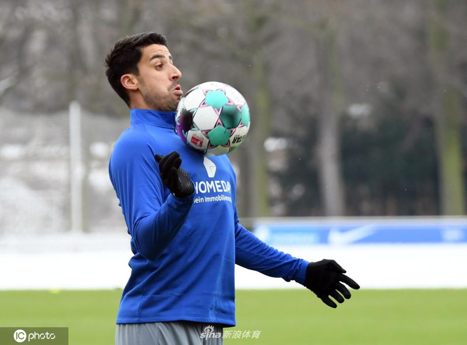 أقوى جماهير في العالمقوة المشجعين التي تهز الملاعب